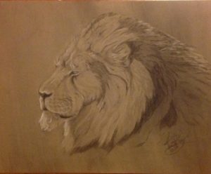 Lion: 16 x 20 Charcoal