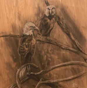 Eagles: 2' x 2' Charcoal on Plywood