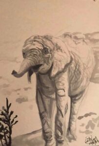 Elephant: 9 x 12 Ink Wash