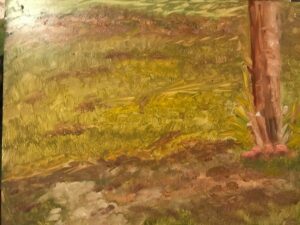 Plein Air Painting: 11 x 14 Oil