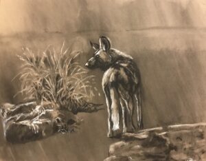 The Look: Charcoal 16 x20