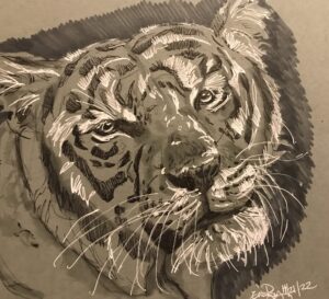 Tiger: 9 x12 Ink