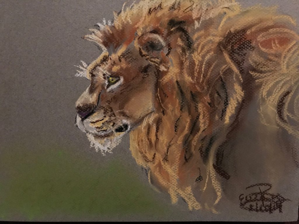 Lion: 9 x 12 Pastel 