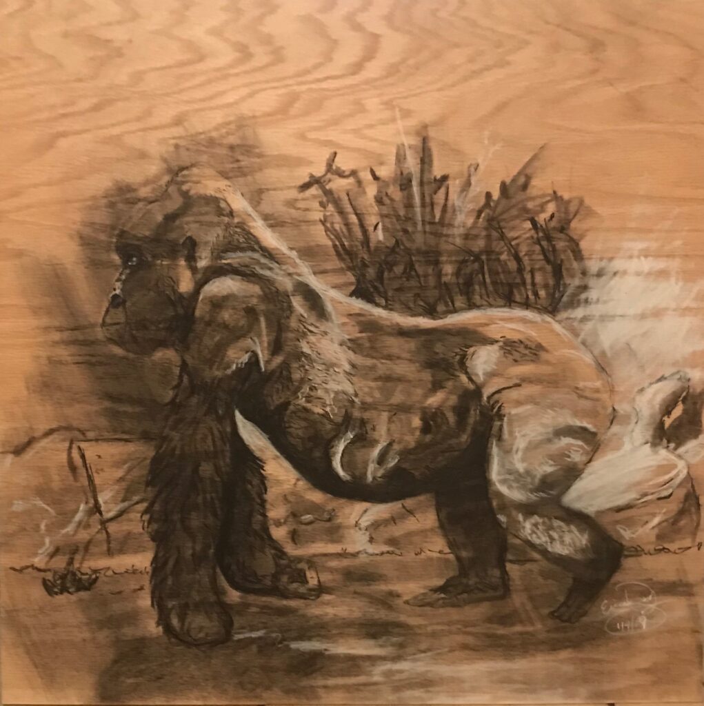 Gorilla: 2' x 2' Charcoal on Plywood