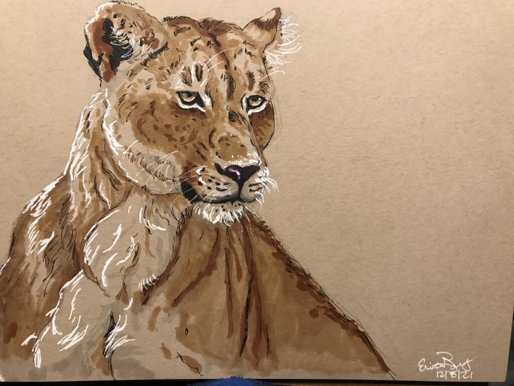 Lion: 9 x 12 Ink and Marker