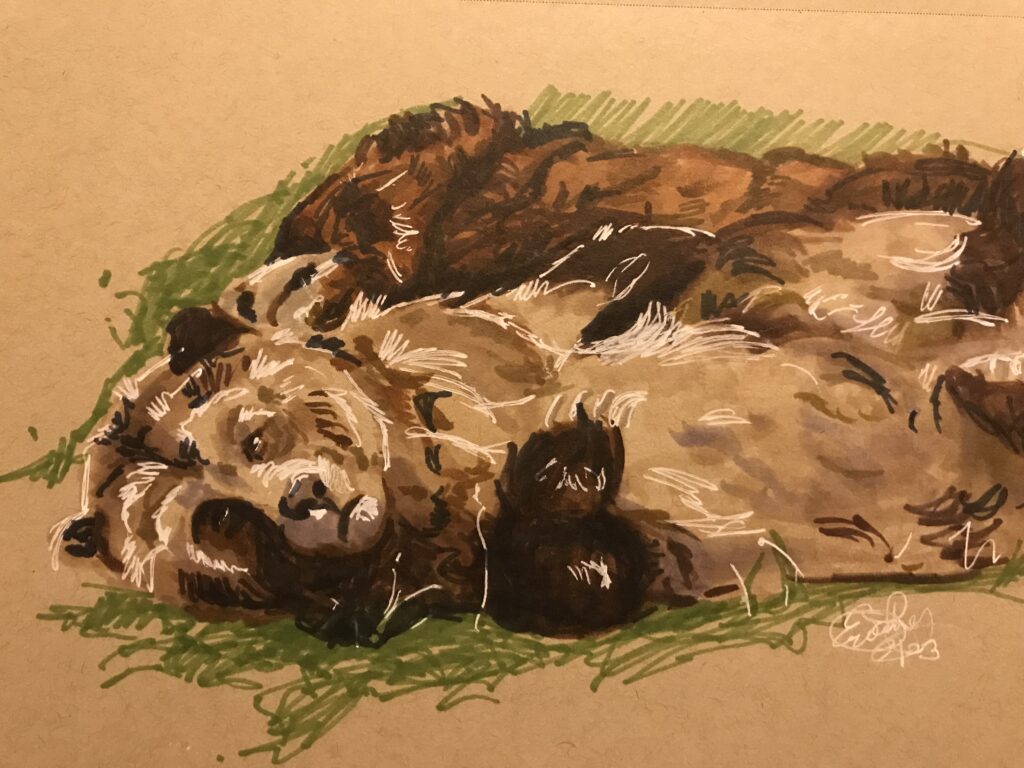 Bears:  9x12 Marker