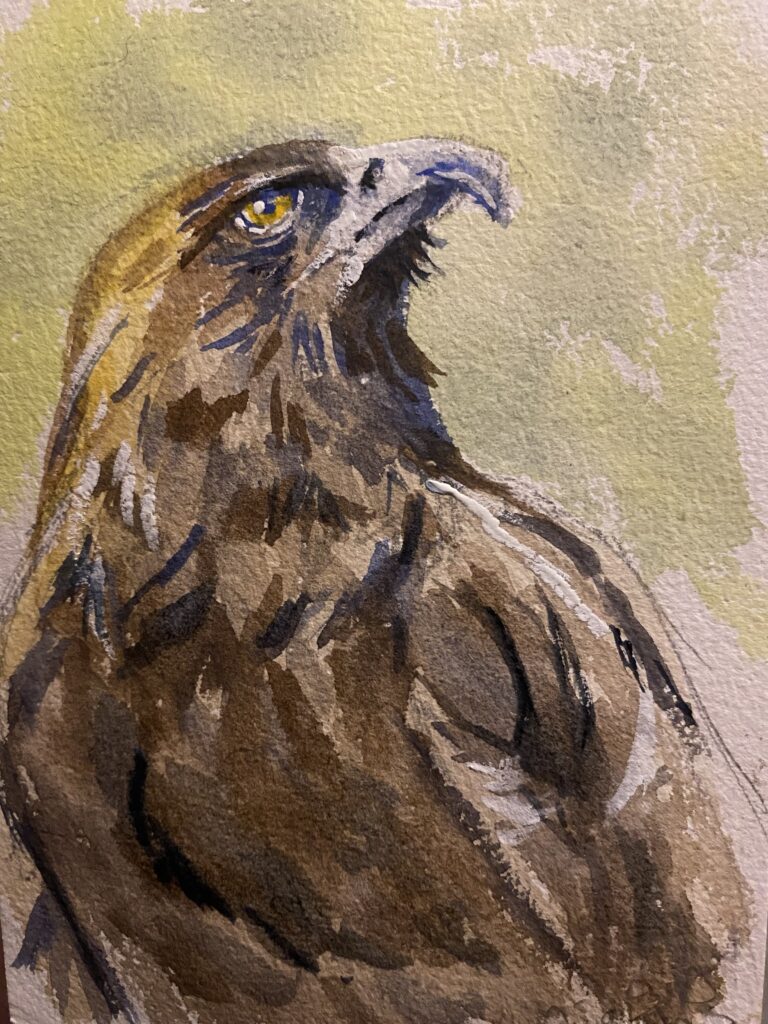 Golden Eagle: Watercolor
