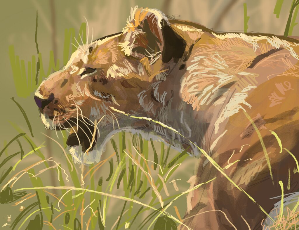 Lioness: Digital