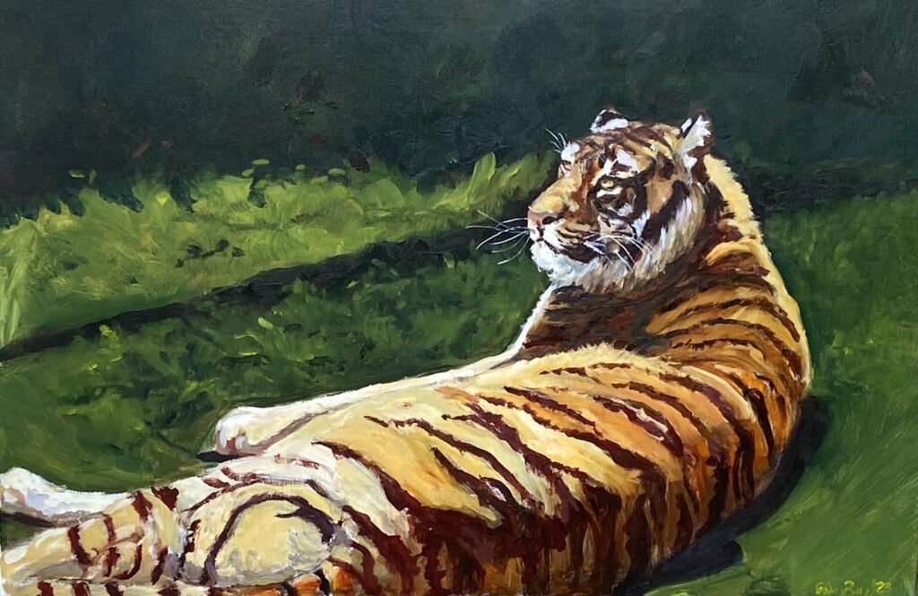 Tiger: 24 x 36 Oil