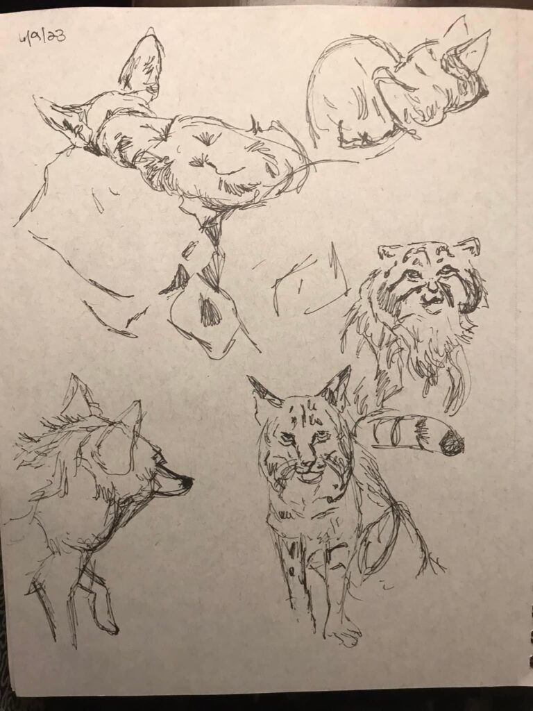 Birmingham Zoo Sketches